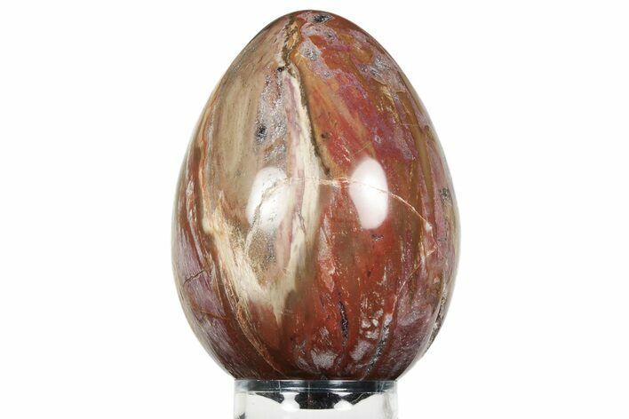 Colorful, Polished Petrified Wood Egg - Madagascar #245367